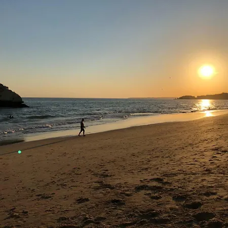 Awesome In Da Rocha Portimao